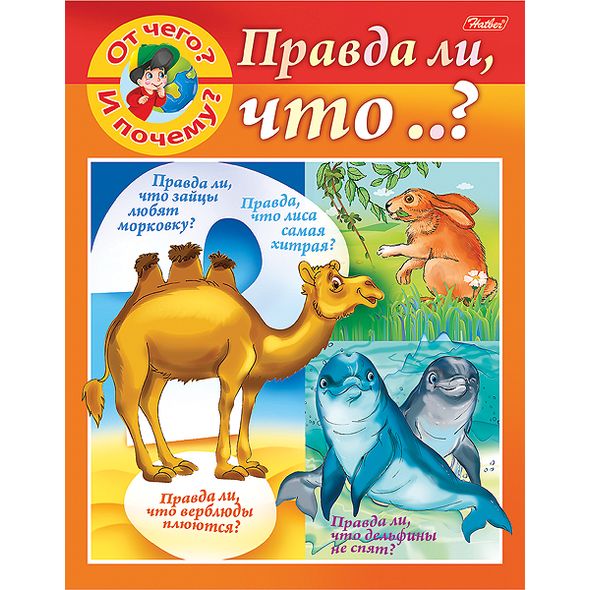 Книжка 8л А5ф цветной блок на скобе 